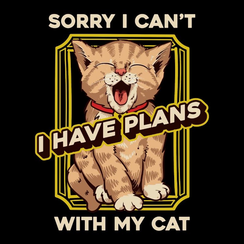 Katze