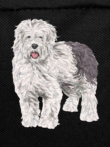 Old English Sheepdog Sheepie Bobtail