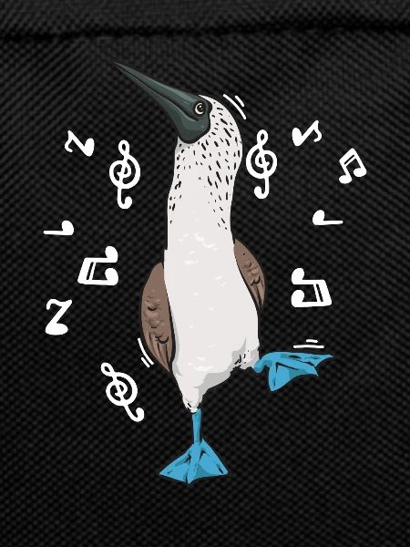 Blaufußtölpel Blue-footed Booby Seevogel