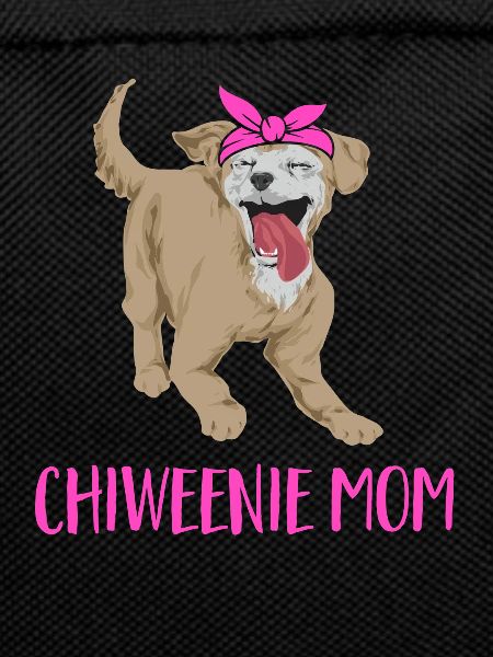 Chiweenie Chien