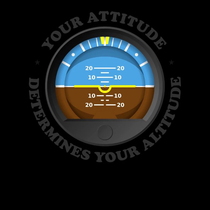 Your Attitude Determines Your Altitude - Aviation