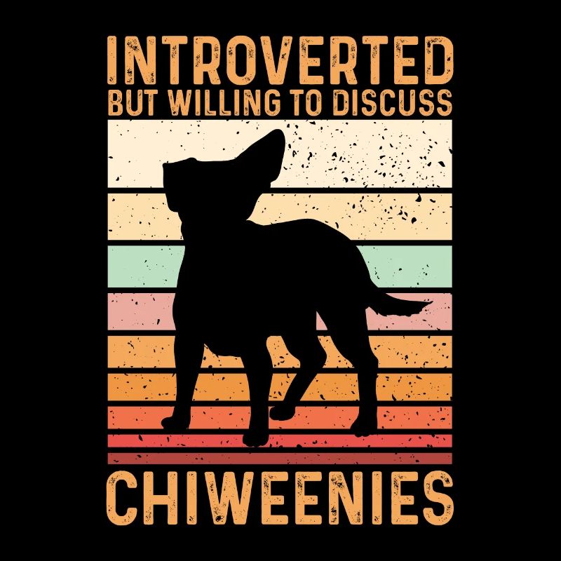 Chiweenie Dog