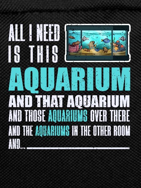 Aquarium Fish Gift