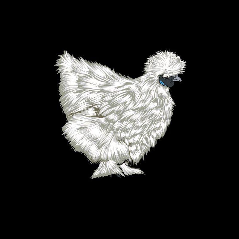 Silky Chicken