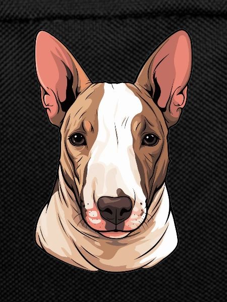 Dog Bull Terrier