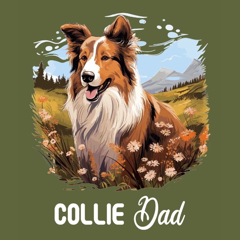 Hund Collie
