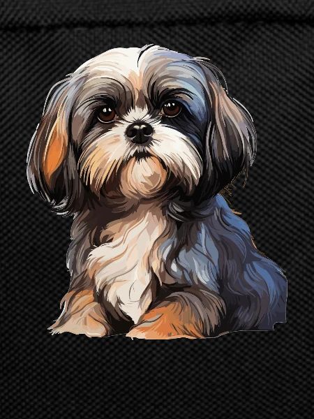 Shih Tzu