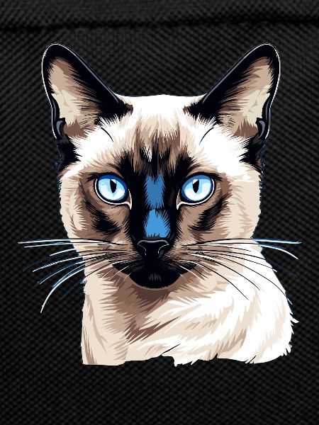 Siamese Cat Siamkatze
