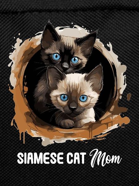 Siamese Cat Siamkatze