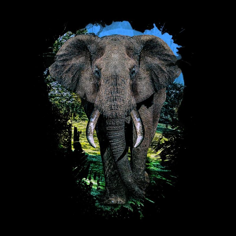 Elephant Head Animal Proboscis Elephant