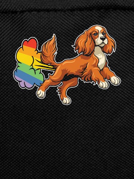 Cocker Spaniel Rainbow Rainbow Fart