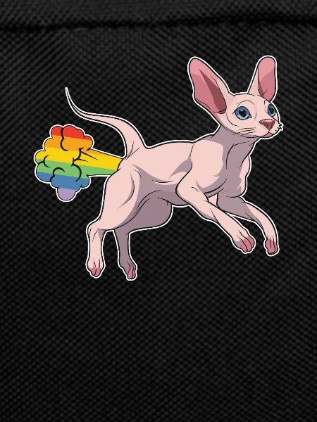 Sphynx Cat Rainbow Rainbow Fart