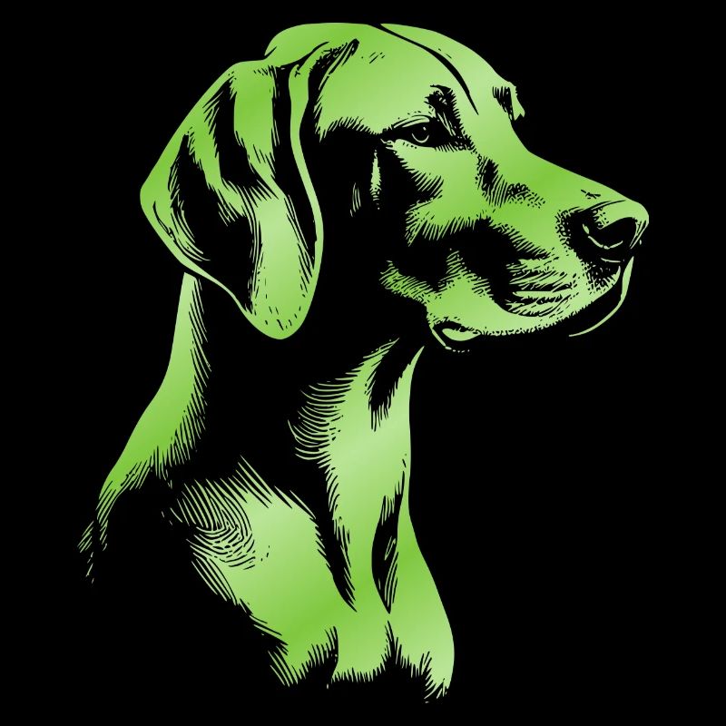 Magyar Vizsla Drawing Head Green