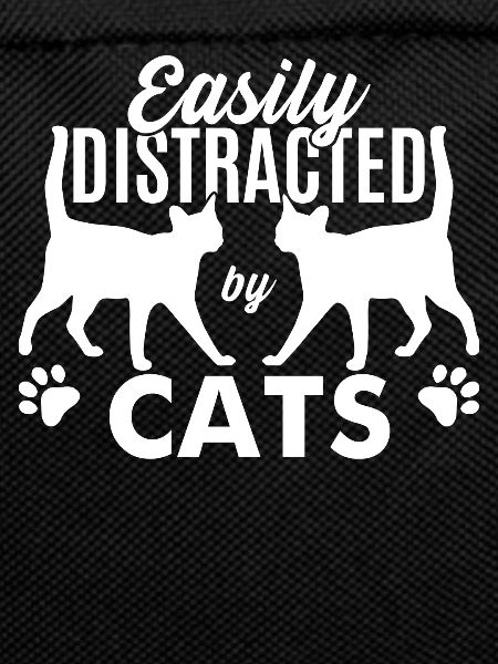 Easily distracted by cats
