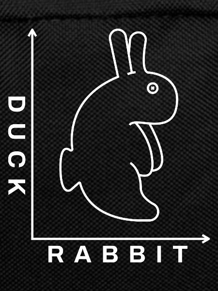 Rabbit Duck Illusion