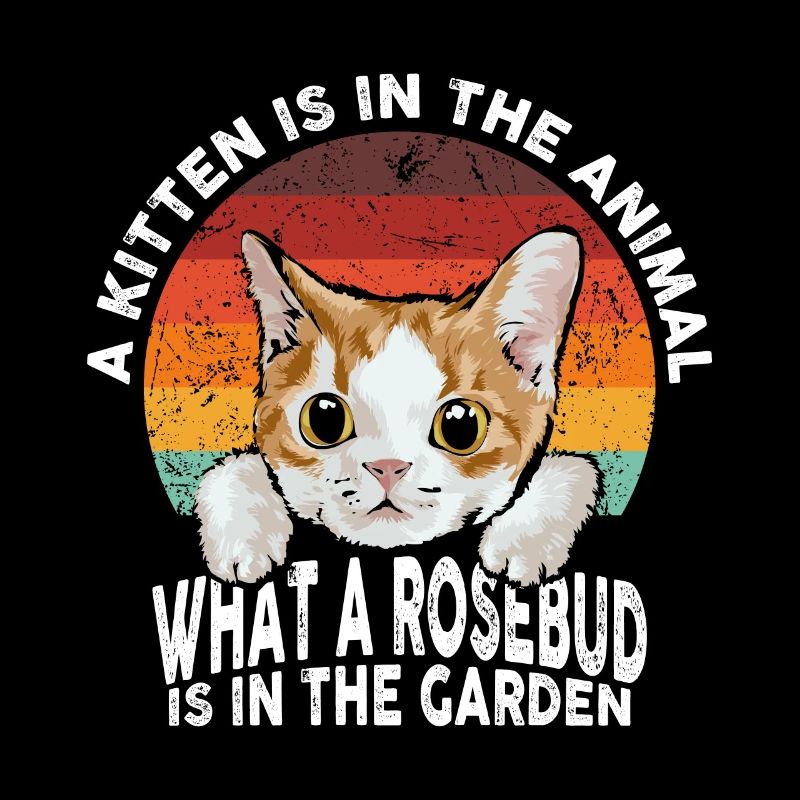 Un chaton est dans l’animal