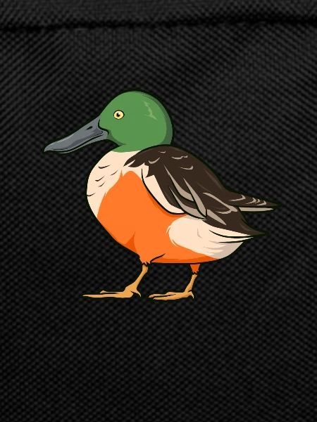 Drawing of a Shoveler
