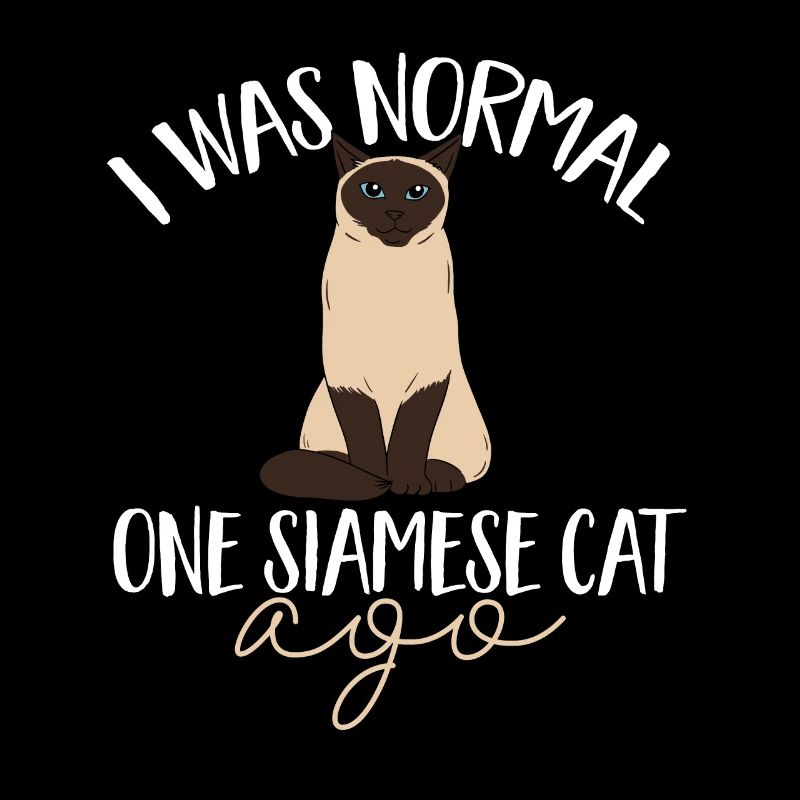 Siamese cat