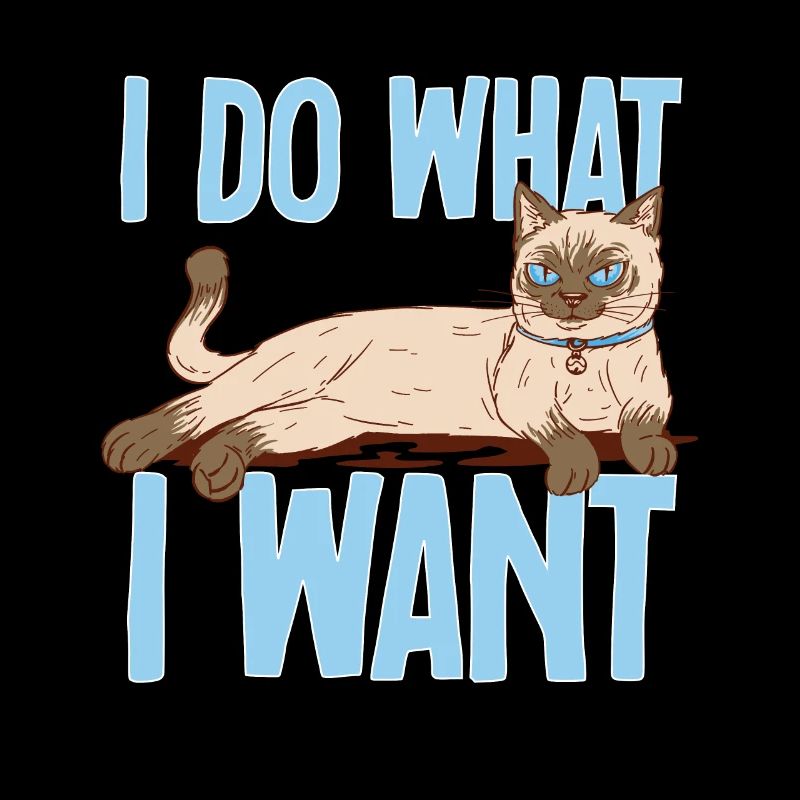 Siamese cat