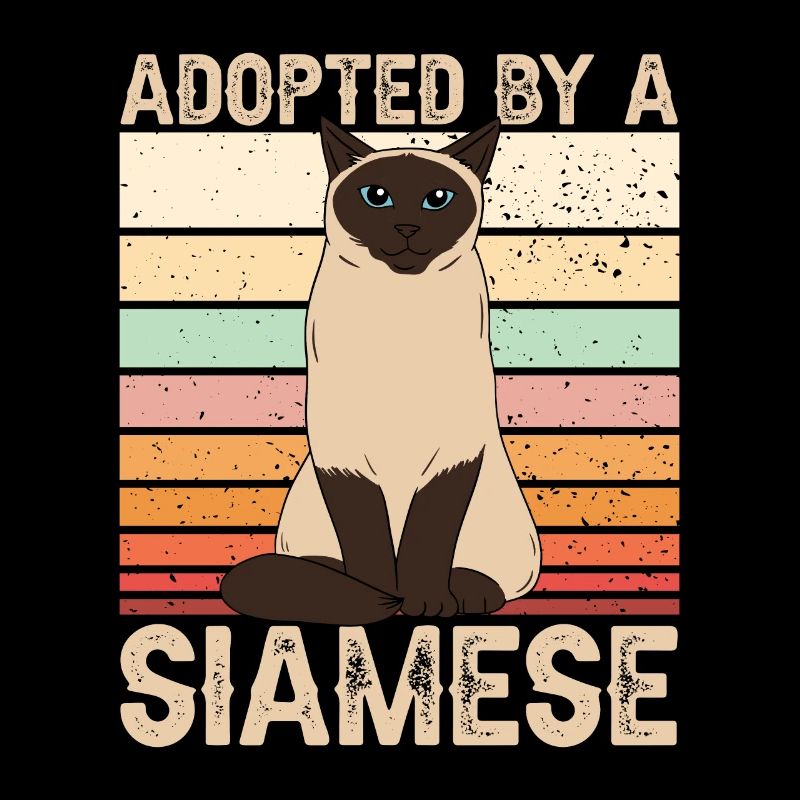 Siamese cat