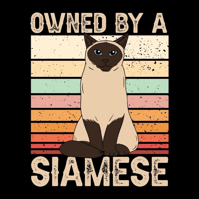 Siamese cat