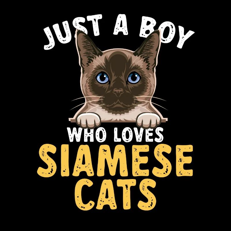 Siamese cat