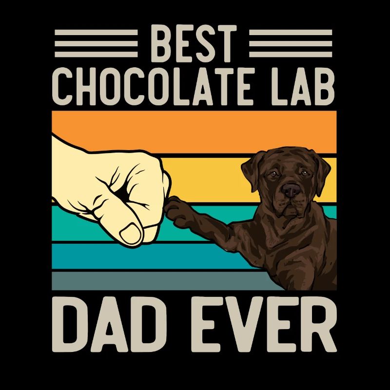 Chien Labrador Retriever chocolat