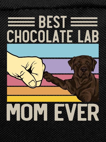Chocolate Labrador Retriever Dog