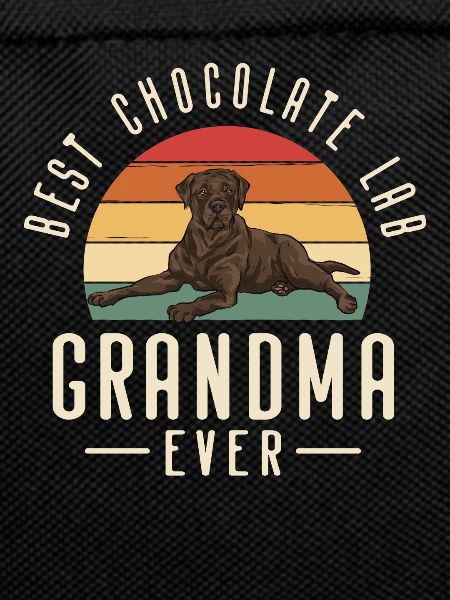 Chocolate Labrador Retriever Dog