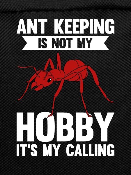 Antkeeping Ant Breeding Ants