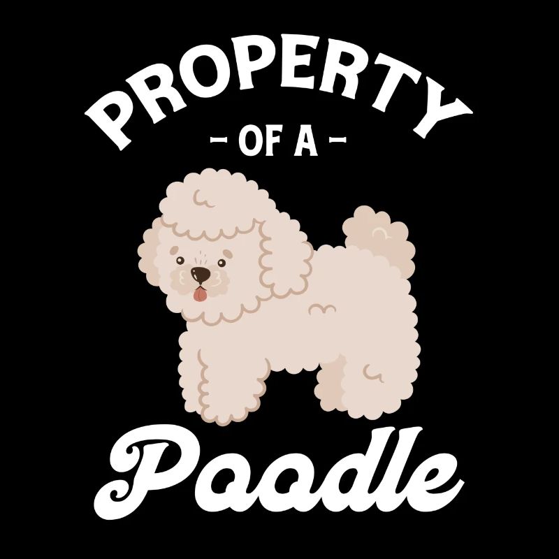 Propriété d’un chiot amateur de caniche caniche