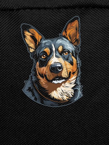 Australian Cattle Dog