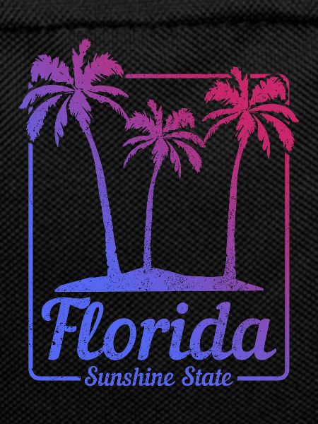 Florida Souvenir USA America