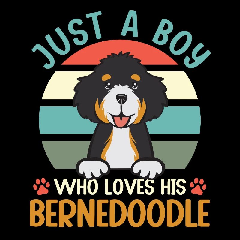 Bernedoodle Hund
