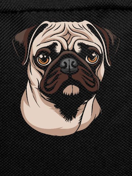 Pug Dog