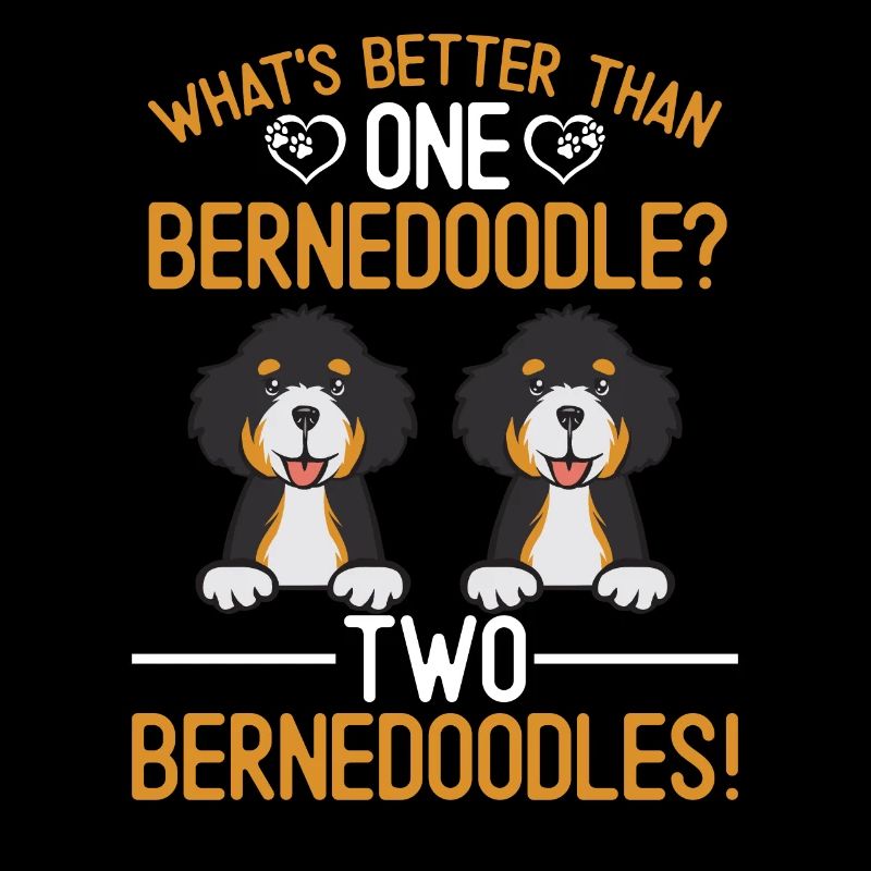 Chien Bernedoodle