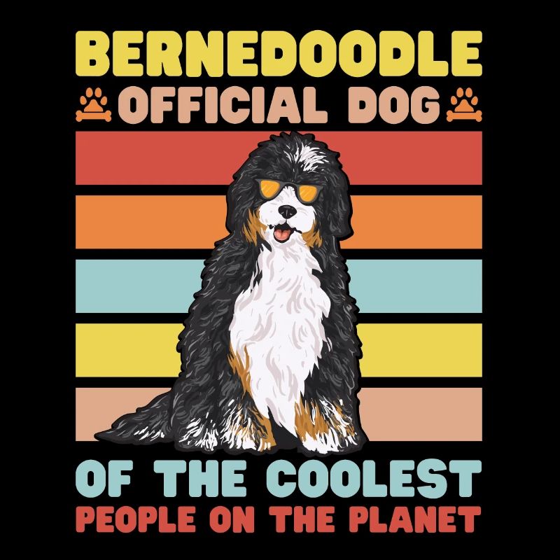 Chien Bernedoodle
