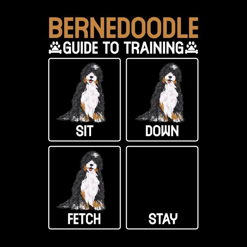 Chien Bernedoodle