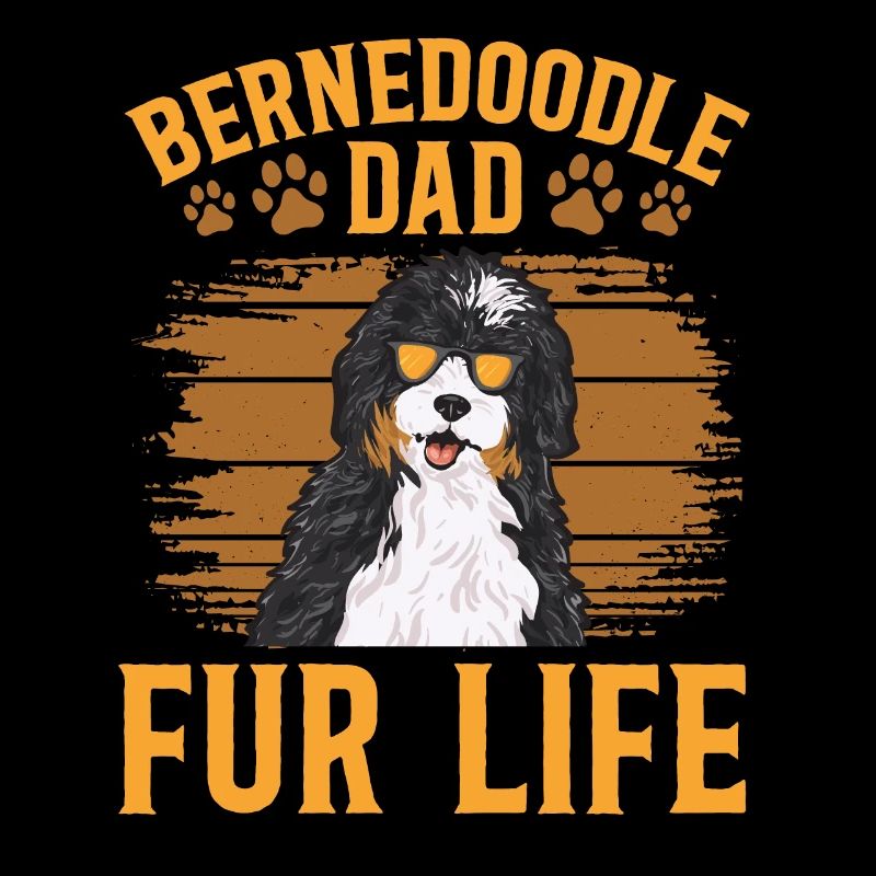 Chien Bernedoodle