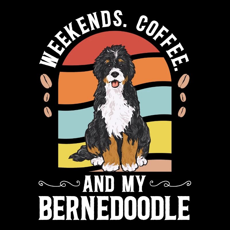 Chien Bernedoodle