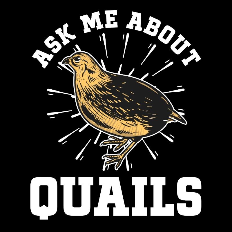 Quail Bird
