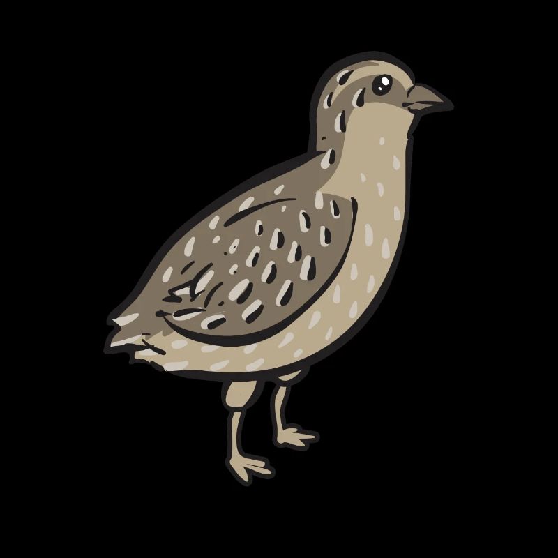 Oiseau de caille