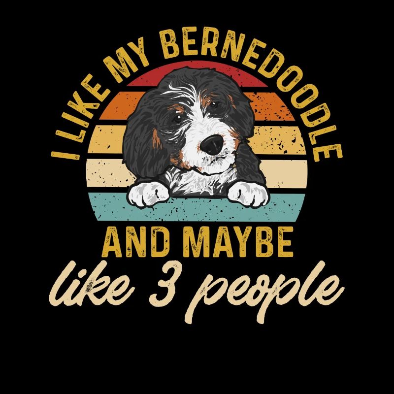 Bernedoodle Hund