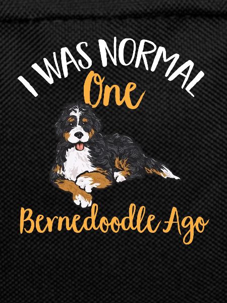 Bernedoodle Hund