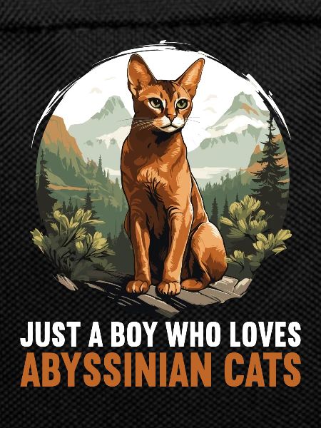 Abyssinian Cat Abessinierkatze