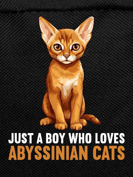 Abyssinian Cat Abessinierkatze