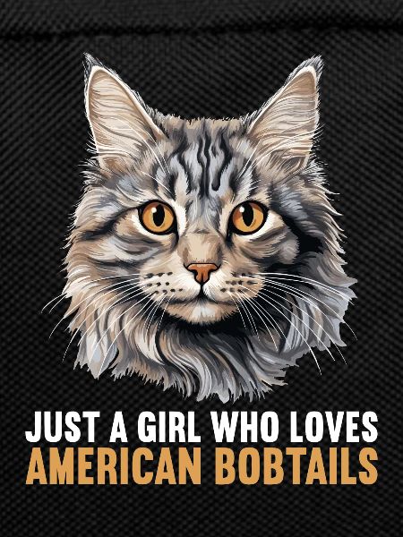 Cat Cats American Bobtail