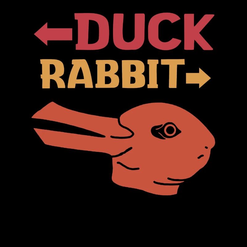 Wittgensteins Rabbit Duck Illusion