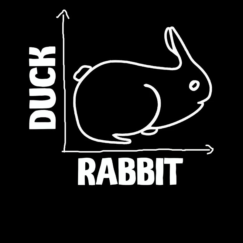 Wittgensteins Rabbit Duck Illusion