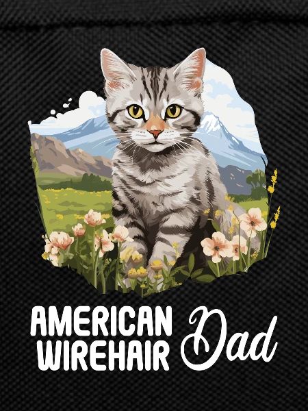 Cat Cats American Wirehair